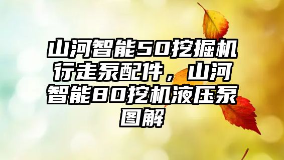 山河智能50挖掘機(jī)行走泵配件，山河智能80挖機(jī)液壓泵圖解