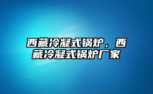 西藏冷凝式鍋爐，西藏冷凝式鍋爐廠家