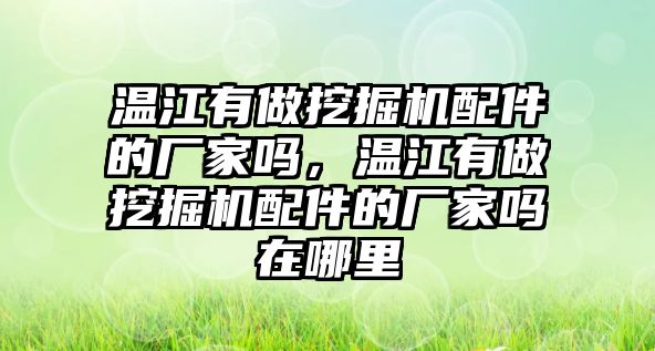 溫江有做挖掘機配件的廠家嗎，溫江有做挖掘機配件的廠家嗎在哪里