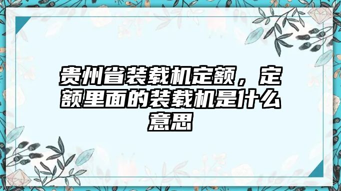 貴州省裝載機定額，定額里面的裝載機是什么意思