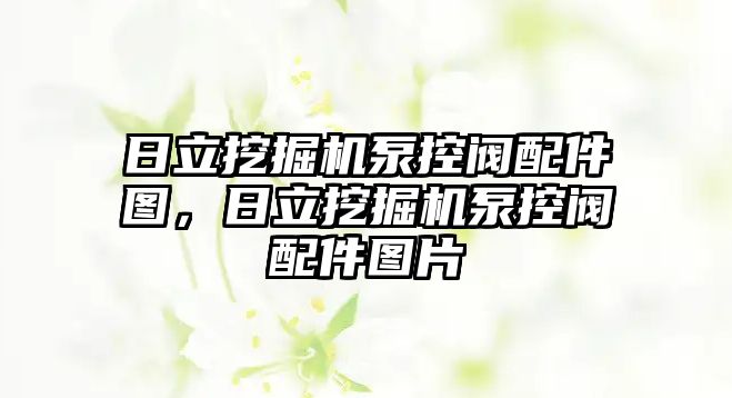 日立挖掘機泵控閥配件圖，日立挖掘機泵控閥配件圖片