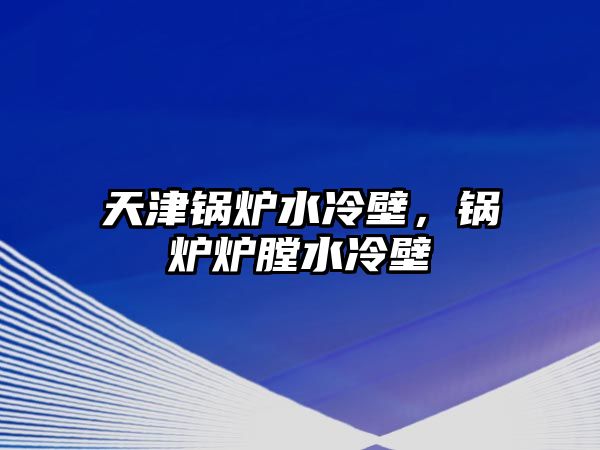 天津鍋爐水冷壁，鍋爐爐膛水冷壁