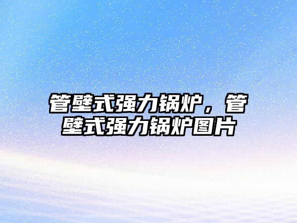 管壁式強(qiáng)力鍋爐，管壁式強(qiáng)力鍋爐圖片