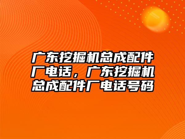 廣東挖掘機總成配件廠電話，廣東挖掘機總成配件廠電話號碼