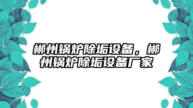 郴州鍋爐除垢設(shè)備，郴州鍋爐除垢設(shè)備廠(chǎng)家