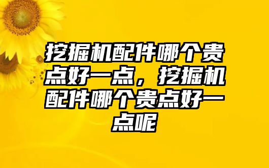 挖掘機配件哪個貴點好一點，挖掘機配件哪個貴點好一點呢