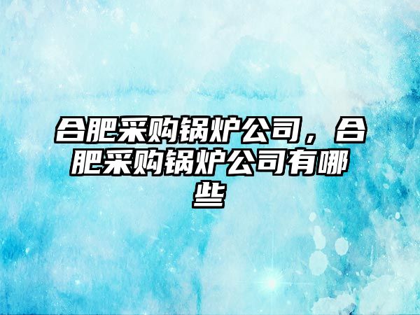 合肥采購鍋爐公司，合肥采購鍋爐公司有哪些