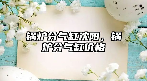 鍋爐分氣缸沈陽，鍋爐分氣缸價格