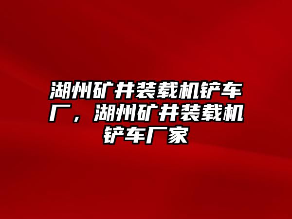 湖州礦井裝載機鏟車廠，湖州礦井裝載機鏟車廠家