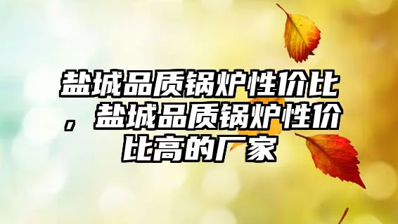 鹽城品質(zhì)鍋爐性價比，鹽城品質(zhì)鍋爐性價比高的廠家