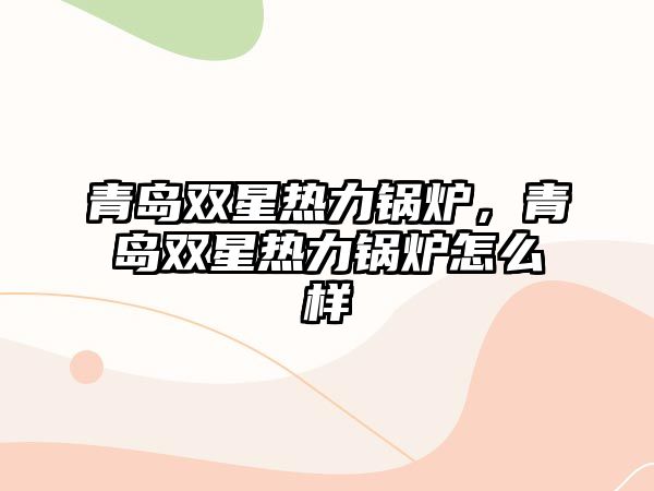 青島雙星熱力鍋爐，青島雙星熱力鍋爐怎么樣