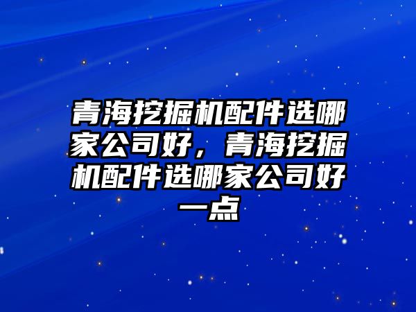 青海挖掘機配件選哪家公司好，青海挖掘機配件選哪家公司好一點