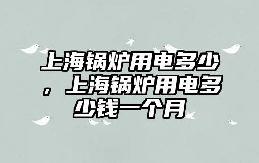 上海鍋爐用電多少，上海鍋爐用電多少錢一個(gè)月