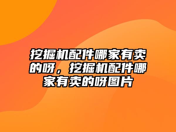 挖掘機(jī)配件哪家有賣的呀，挖掘機(jī)配件哪家有賣的呀圖片