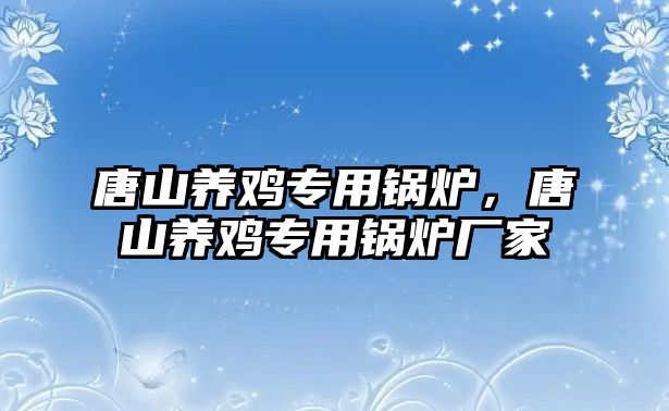 唐山養(yǎng)雞專用鍋爐，唐山養(yǎng)雞專用鍋爐廠家