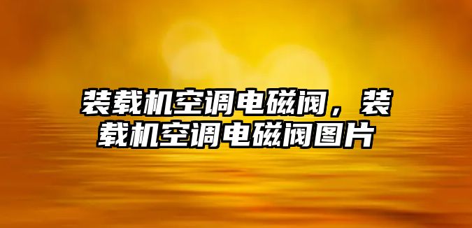 裝載機空調電磁閥，裝載機空調電磁閥圖片