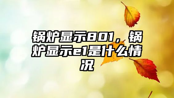 鍋爐顯示801，鍋爐顯示e1是什么情況