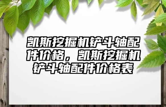 凱斯挖掘機鏟斗軸配件價格，凱斯挖掘機鏟斗軸配件價格表