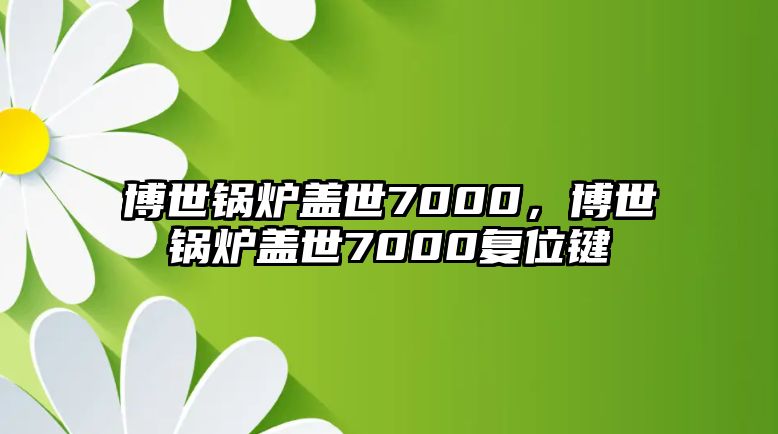 博世鍋爐蓋世7000，博世鍋爐蓋世7000復位鍵