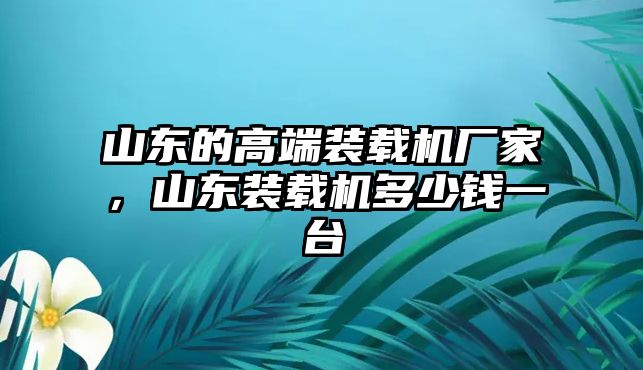 山東的高端裝載機廠家，山東裝載機多少錢一臺