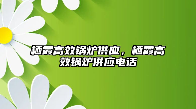 棲霞高效鍋爐供應(yīng)，棲霞高效鍋爐供應(yīng)電話