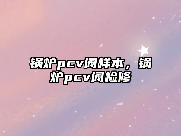 鍋爐pcv閥樣本，鍋爐pcv閥檢修