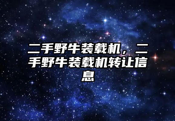 二手野牛裝載機，二手野牛裝載機轉讓信息