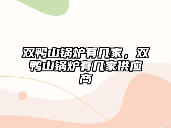 雙鴨山鍋爐有幾家，雙鴨山鍋爐有幾家供應(yīng)商