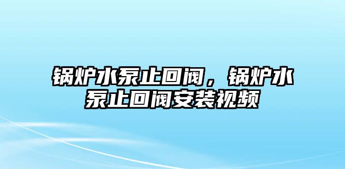 鍋爐水泵止回閥，鍋爐水泵止回閥安裝視頻