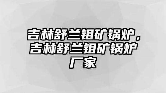 吉林舒蘭鉬礦鍋爐，吉林舒蘭鉬礦鍋爐廠家