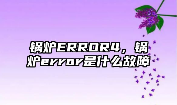 鍋爐ERROR4，鍋爐error是什么故障