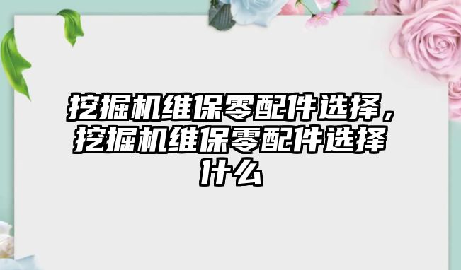 挖掘機維保零配件選擇，挖掘機維保零配件選擇什么