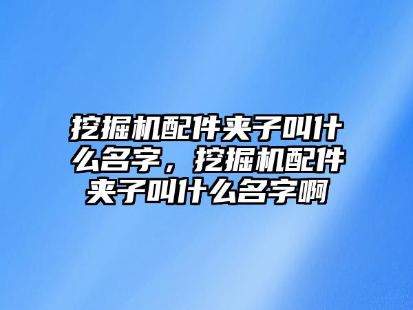 挖掘機(jī)配件夾子叫什么名字，挖掘機(jī)配件夾子叫什么名字啊