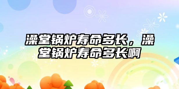 澡堂鍋爐壽命多長，澡堂鍋爐壽命多長啊