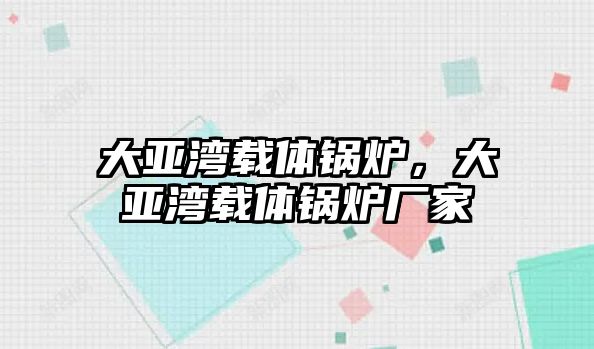 大亞灣載體鍋爐，大亞灣載體鍋爐廠家