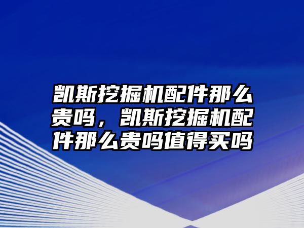 凱斯挖掘機(jī)配件那么貴嗎，凱斯挖掘機(jī)配件那么貴嗎值得買嗎