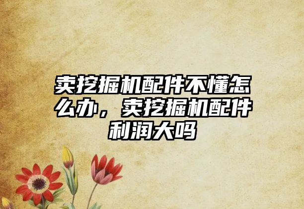 賣挖掘機配件不懂怎么辦，賣挖掘機配件利潤大嗎