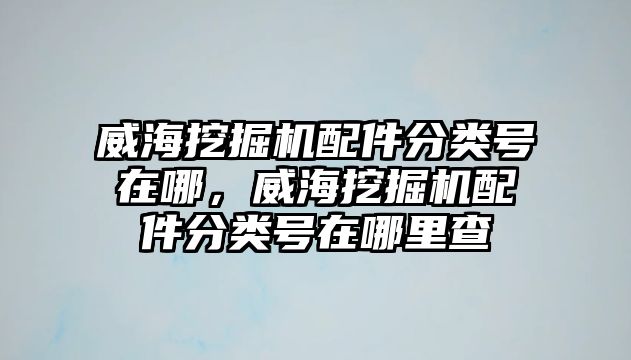 威海挖掘機(jī)配件分類號在哪，威海挖掘機(jī)配件分類號在哪里查