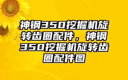 神鋼350挖掘機(jī)旋轉(zhuǎn)齒圈配件，神鋼350挖掘機(jī)旋轉(zhuǎn)齒圈配件圖