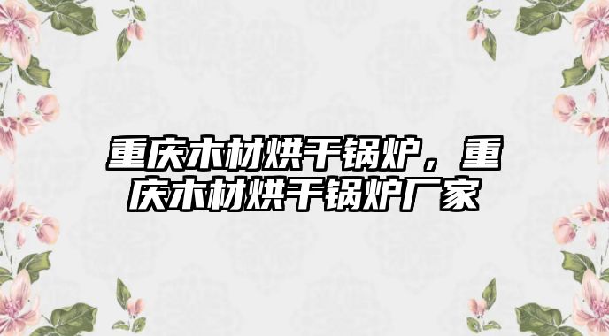 重慶木材烘干鍋爐，重慶木材烘干鍋爐廠家