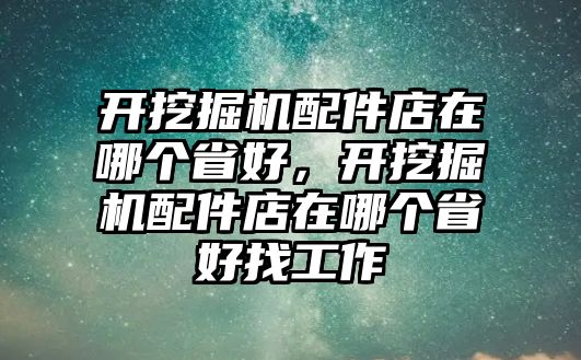 開挖掘機(jī)配件店在哪個省好，開挖掘機(jī)配件店在哪個省好找工作