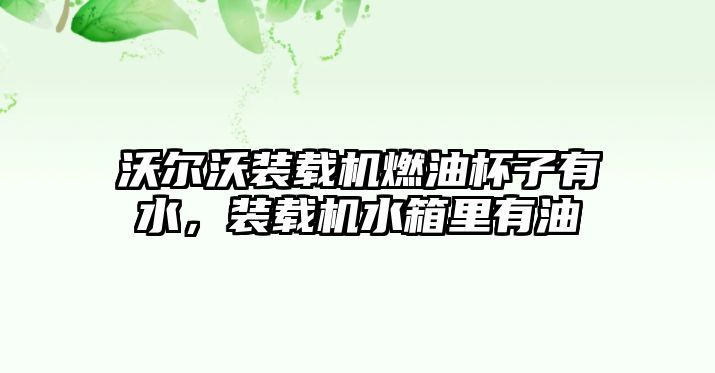 沃爾沃裝載機燃油杯子有水，裝載機水箱里有油