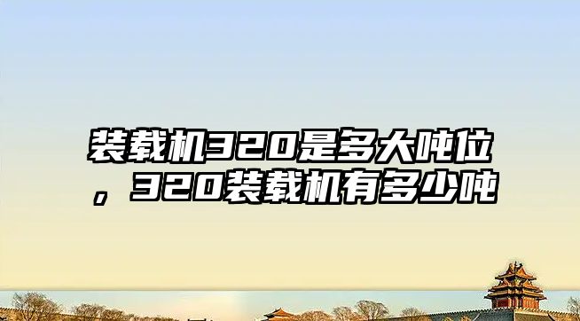 裝載機320是多大噸位，320裝載機有多少噸