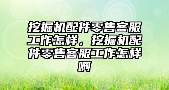 挖掘機配件零售客服工作怎樣，挖掘機配件零售客服工作怎樣啊