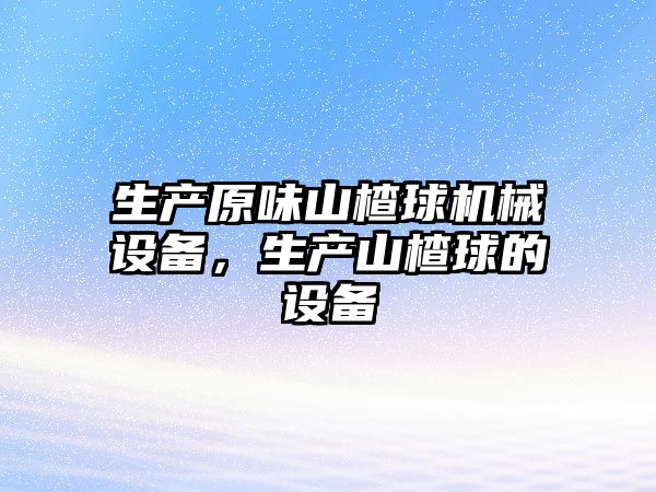 生產原味山楂球機械設備，生產山楂球的設備