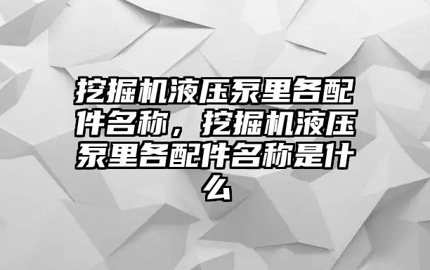 挖掘機(jī)液壓泵里各配件名稱，挖掘機(jī)液壓泵里各配件名稱是什么