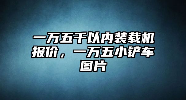 一萬五千以內(nèi)裝載機報價，一萬五小鏟車圖片