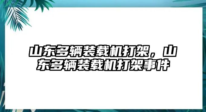 山東多輛裝載機打架，山東多輛裝載機打架事件