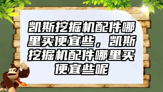 凱斯挖掘機(jī)配件哪里買便宜些，凱斯挖掘機(jī)配件哪里買便宜些呢