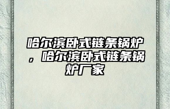 哈爾濱臥式鏈條鍋爐，哈爾濱臥式鏈條鍋爐廠家